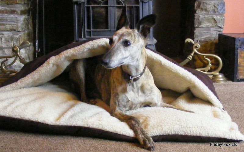 Dog Beds - Pita Snuggle Beds Friday Fox 