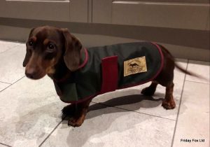 Mini Dachshund Wax Cotton Coat