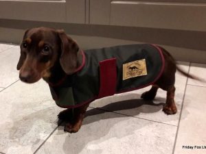 Mini Dachshund Wax Cotton Coat