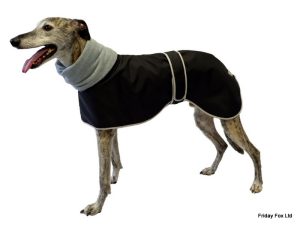 Italian Greyhound Lightweight Shower proof Polo Neck - Burgundy, Charcoal or Aqua - Image 2