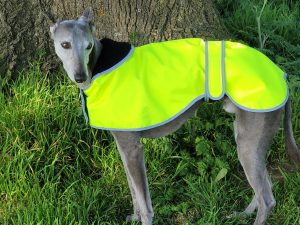 Hi Viz Greyhound Coat