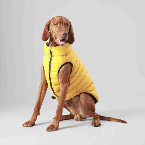 Puffer Waistcoat/jacket - Image 5