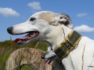 Antique Green Tweed Collars