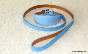 Padded Leather Greyhound and Lurcher Collars - Image 4