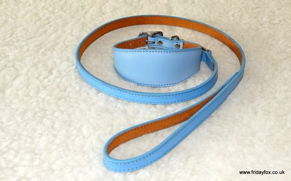 Padded Leather Greyhound and Lurcher Collars - Image 4
