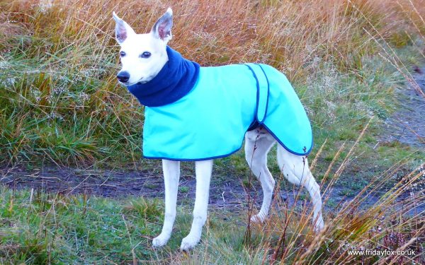 Whippet lightweight shower proof Polo Neck - Image 2