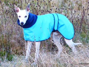 Aqua Waterproof Greyhound Polo