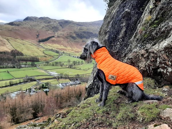 Whippet Puffer Step-in Coat - Image 2