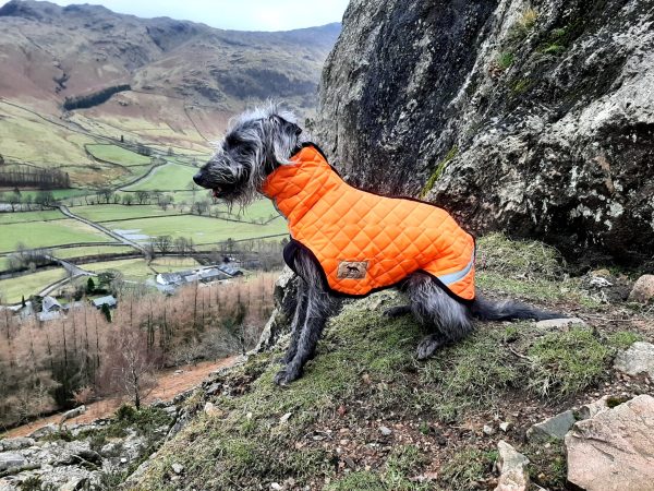 Whippet Puffer Step-in Coat - Image 3