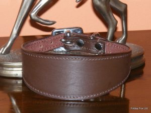 Padded Leather Greyhound and Lurcher Collars
