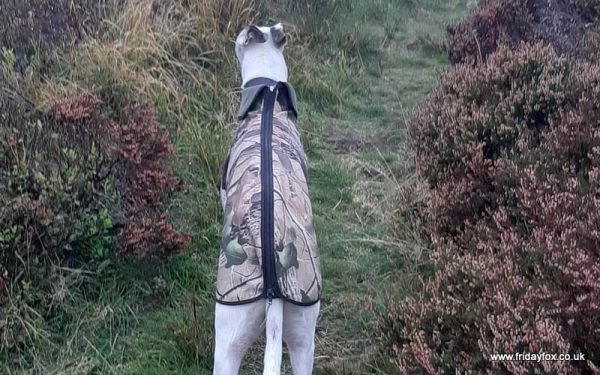 Camouflage Whippet Step-in Coat - Image 4