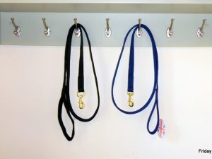 Cushion Web Dog Lead