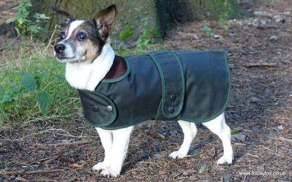 Wax Cotton Terrier Coat - Image 1