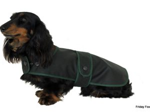 Dachshund Wax Cotton Coat