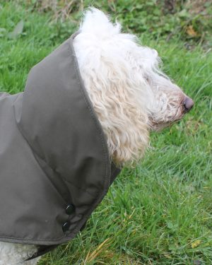 Terrier Dartmoor Coat with harness slot - Image 3