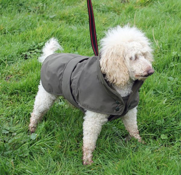 Dartmoor dog coat with harness slot - Image 2