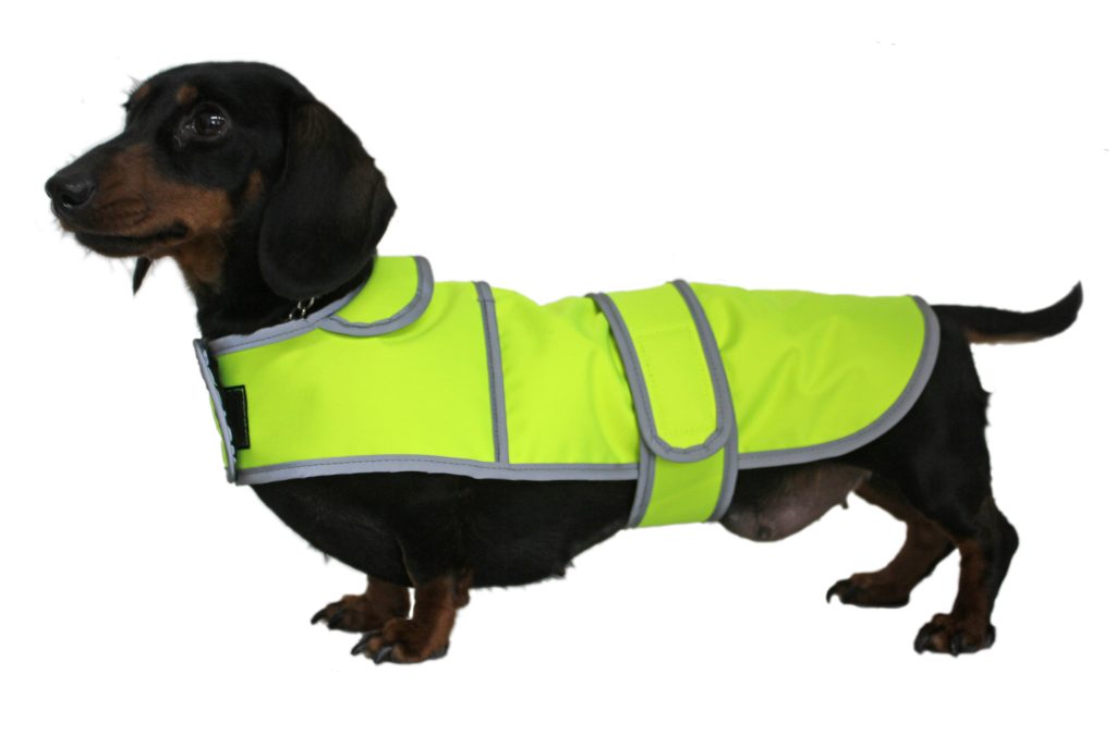 Dachshund Hi Viz Coat