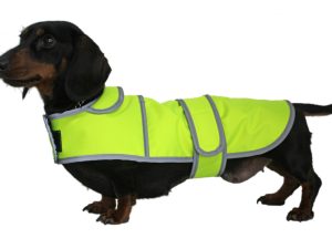 Dachshund Hi Viz Coat