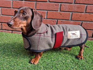 Mini Dachshund Tweed Coat