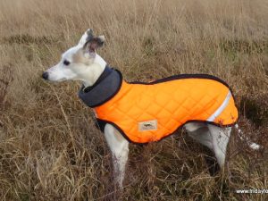 Whippet Puffer Step-in Coat