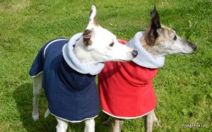 Italian Greyhound Polo Fleece - Image 2