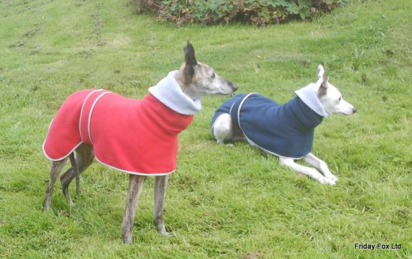 Fleece Greyhound Polo - Image 4