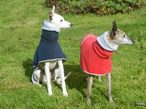 Fleece Greyhound Polo