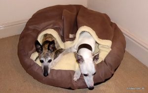 Fox Mocha Cave Bed - Image 3