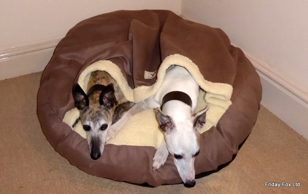 Fox Mocha Cave Bed - Image 3