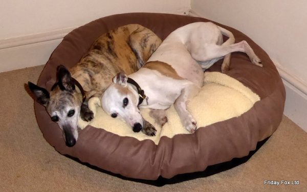 Fox Mocha Cave Bed - Image 4