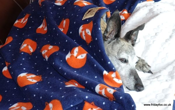 Fox Fleece Dog Sleeping Bag - Image 2