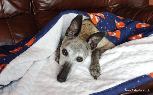 Fox Fleece Dog Sleeping Bag - Image 3