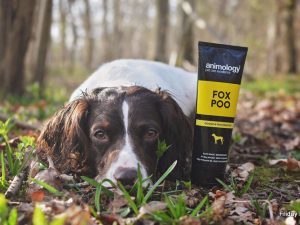 Fox Poo Dog Shampoo