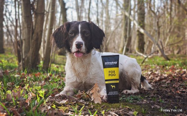Fox Poo Dog Shampoo - Image 2