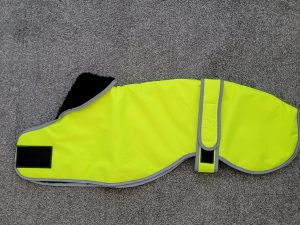 Italian Greyhound Hi-Vis Coat