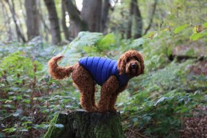 Puffer Waistcoat/jacket - Image 6