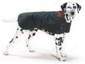 Wax Cotton Dog Coat - Image 2
