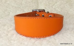 Padded Leather Greyhound and Lurcher Collars - Image 3