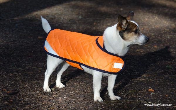 Orange Quilted Terrier Coat - Image 3