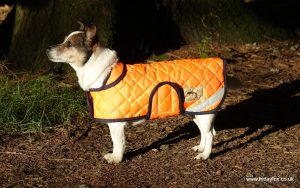 Orange Quilted Terrier Coat - Image 4
