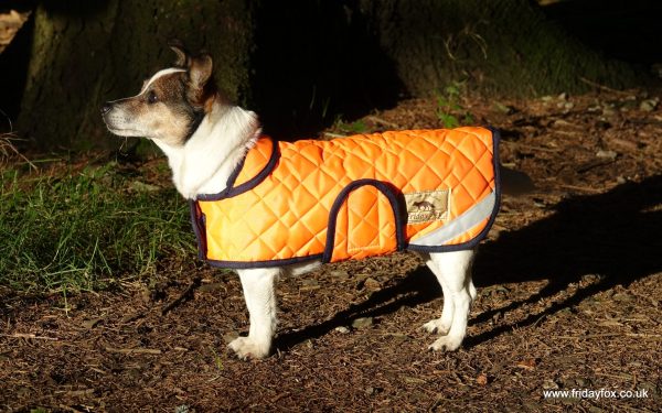 Orange Quilted Terrier Coat - Image 4