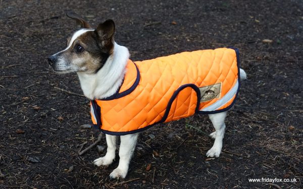 Orange Quilted Terrier Coat - Image 5