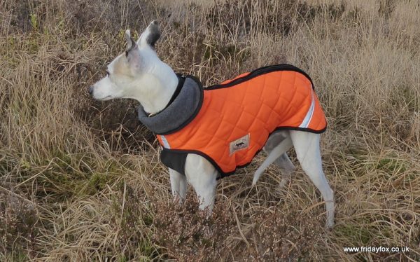 Whippet Puffer Step-in Coat - Image 4