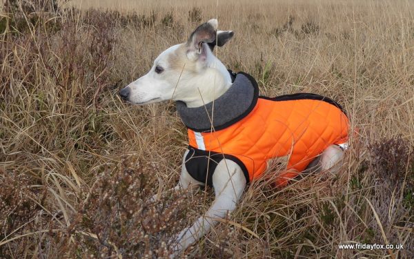Whippet Puffer Step-in Coat - Image 5
