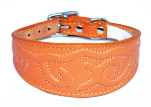 Padded Leather Italian Greyhound Collars - Image 2