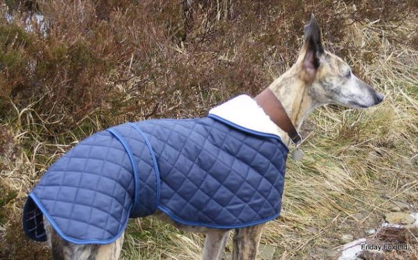 Quilted Greyhound Coat - Image 3