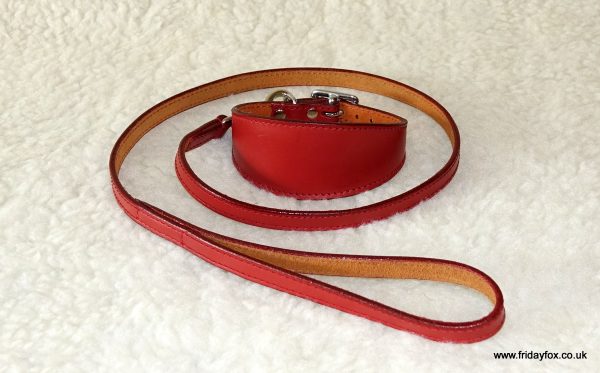 Padded Leather Greyhound and Lurcher Collars - Image 5