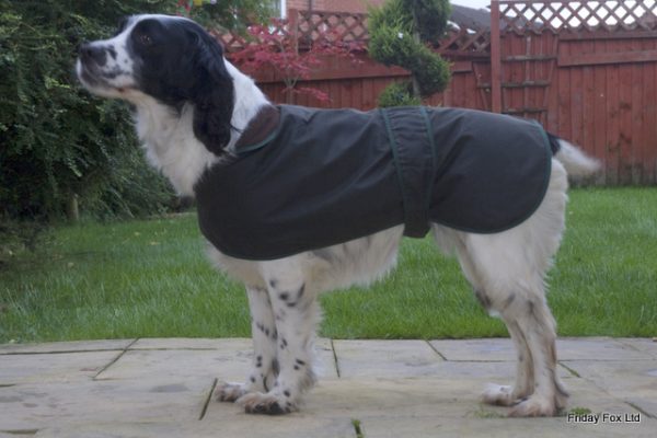 Wax Cotton Dog Coat - Image 3
