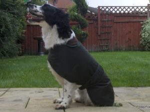 Wax Cotton Dog Coat