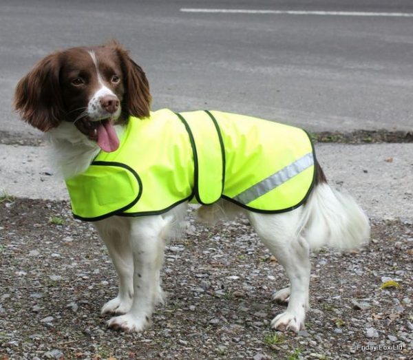 Hi Viz Safety Dog Coat - Image 2